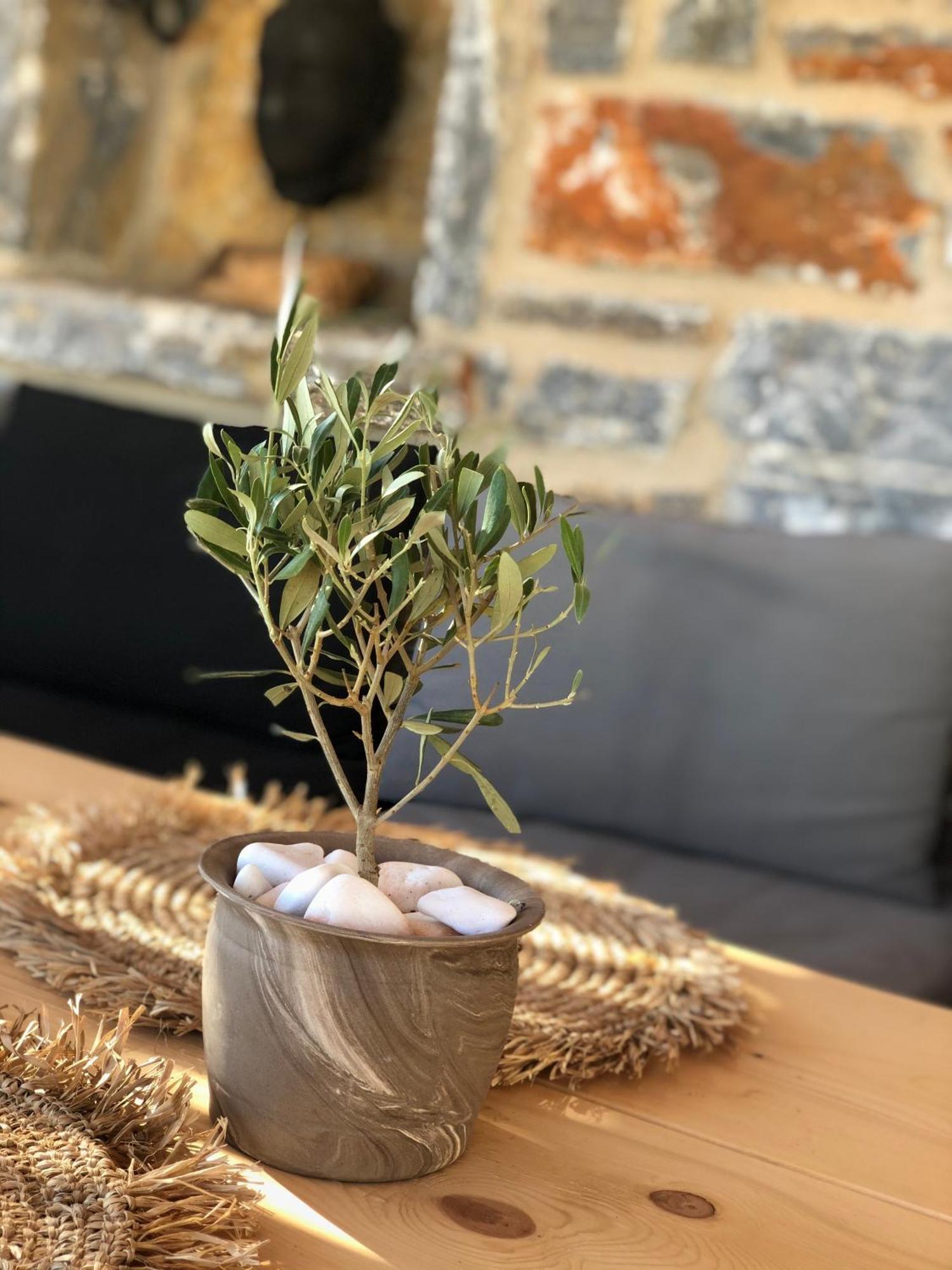 Harmony Luxury Naxos Holiday home *