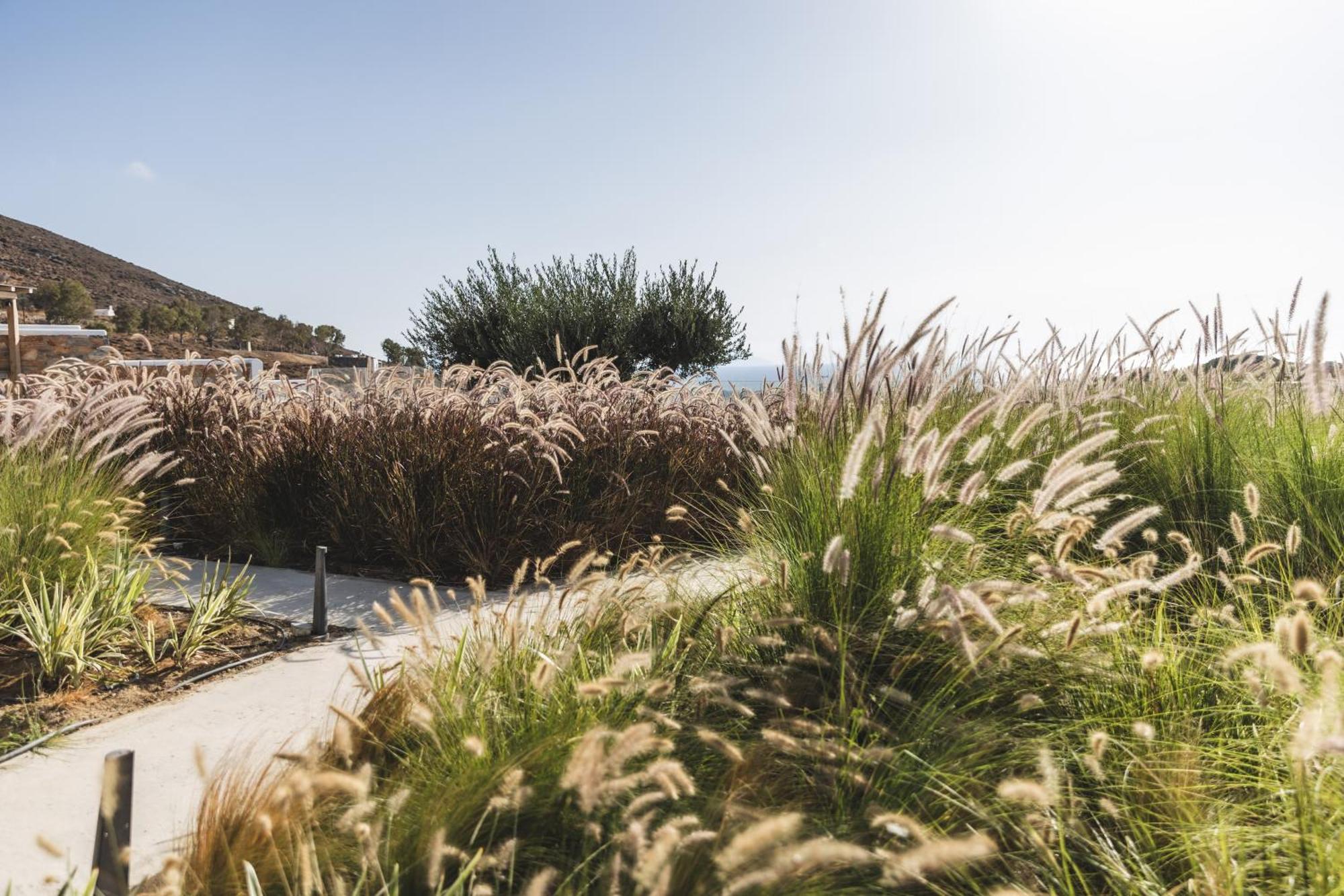 Holiday home Harmony Luxury Naxos *